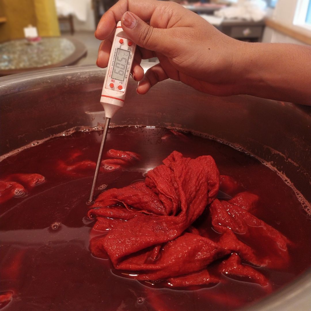 DIY series : Textile dyeing with madder roots.